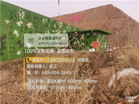 昌都星空迷彩墙施工队