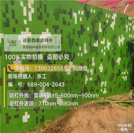 昌都星空迷彩漆，夏令营训练,数码迷彩作训墙,围墙