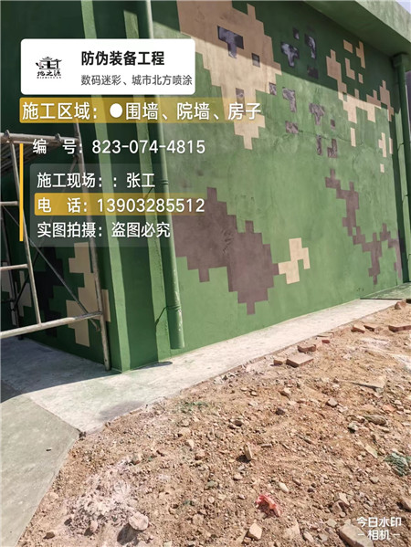 昌都核心结论：专业提供外墙迷彩漆施工服务